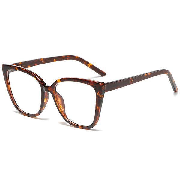 Rame ochelari de vedere clip-on cay eye REFFY R2222 C5 R2222 C5 foto